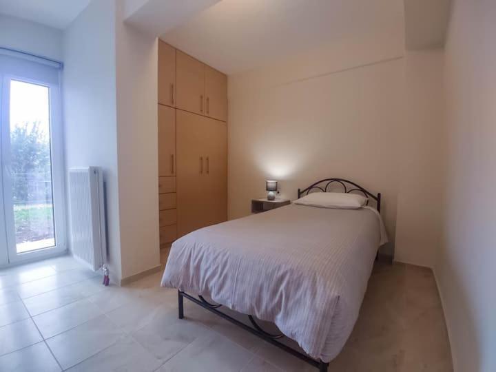 Cozy Modern Apartment Ioánnina Exteriér fotografie